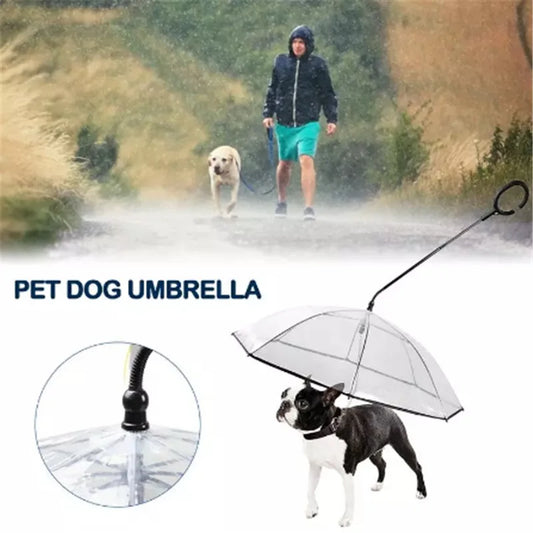 Dog Umbrella